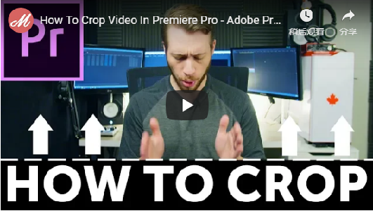 Crop Tool VIDEO.png