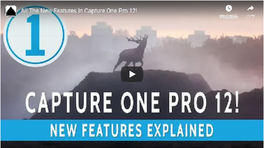 Capture One 12 VIDEO 03.png