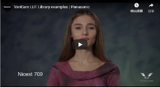 Panasonic LUT Library VIDEO.png