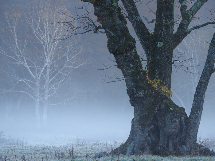 164049442495.png 图片3.png