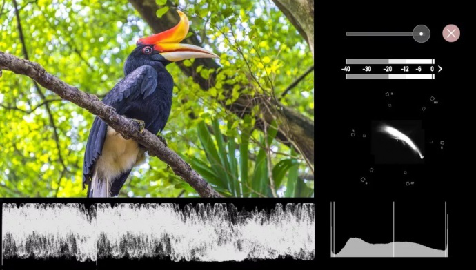 165630743244.png 图片29.png